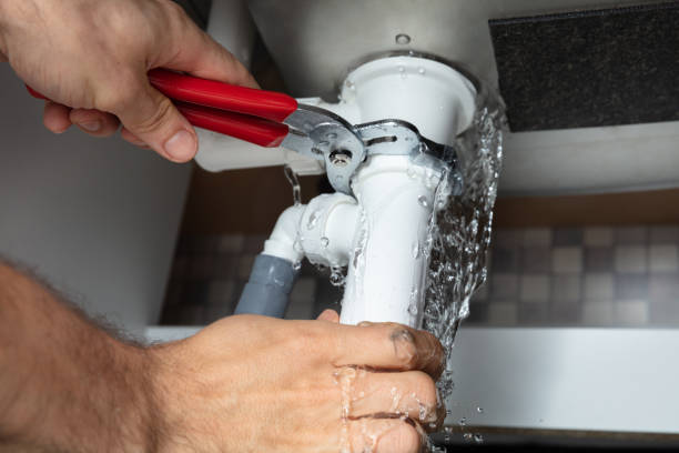 Best Ceiling water damage repair  in Litchfield Park, AZ