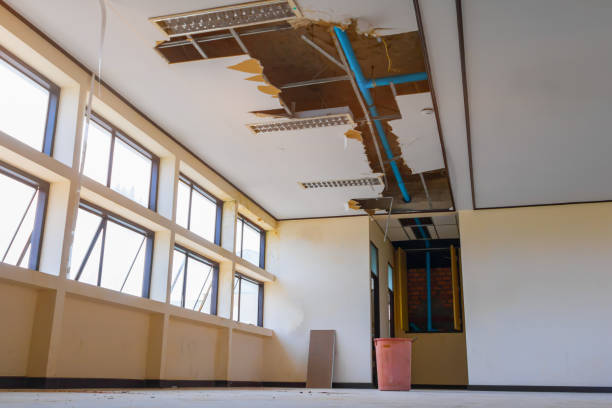Best Water damage restoration near me  in Litchfield Park, AZ