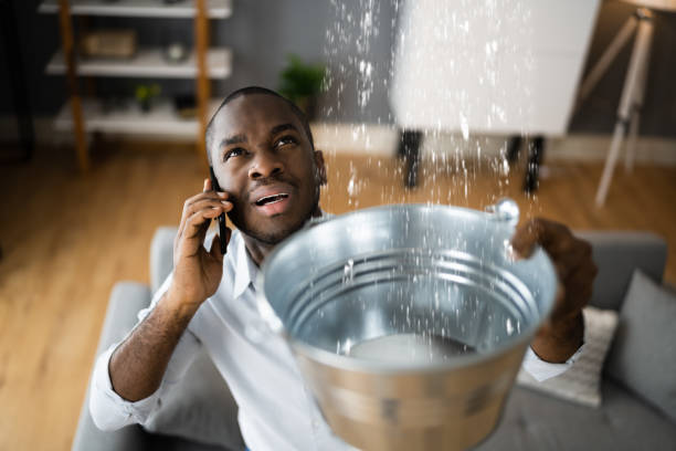 Best Professional water damage repair  in Litchfield Park, AZ