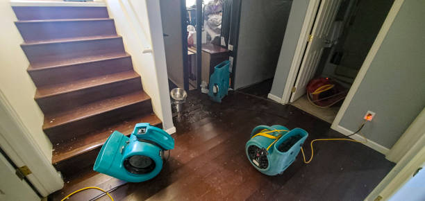 Best Flood damage cleanup  in Litchfield Park, AZ