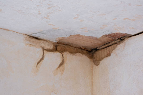 Best 24/7 water damage repair  in Litchfield Park, AZ
