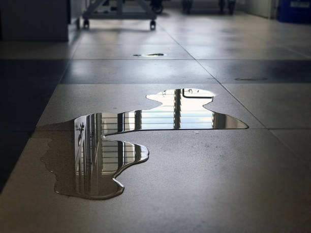 Best Water damage restoration near me  in Litchfield Park, AZ