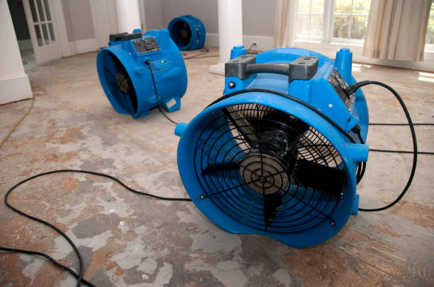 Trusted Litchfield Park, AZ Water damage restoration Experts