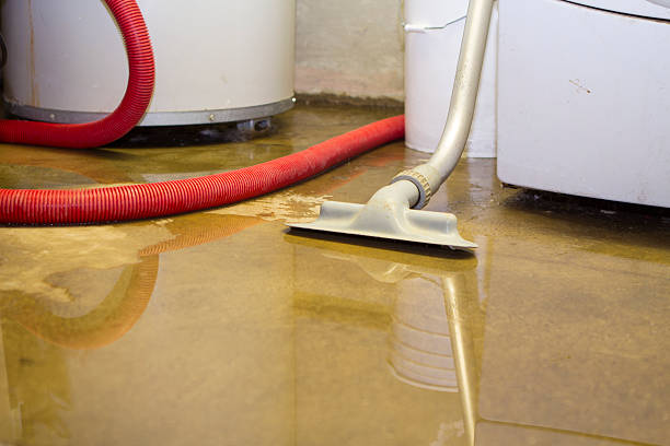 Best Flooded house restoration  in Litchfield Park, AZ