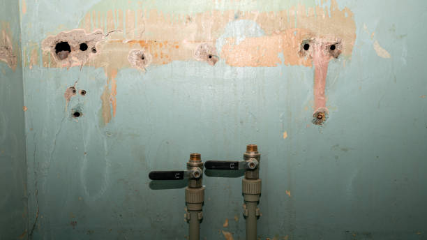 Professional Water damage restoration in Litchfield Park, AZ