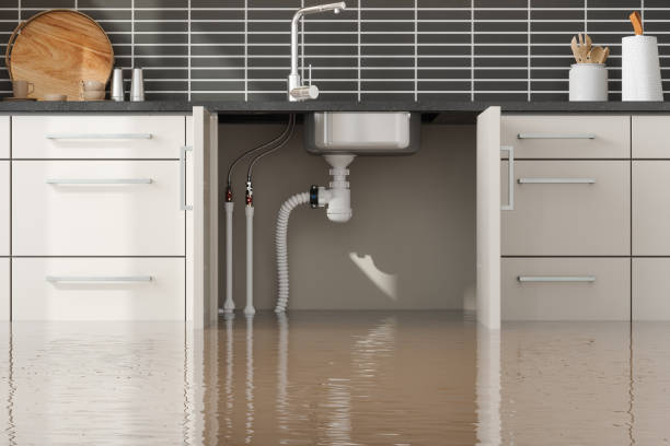 Best Sewage cleanup and water damage restoration  in Litchfield Park, AZ
