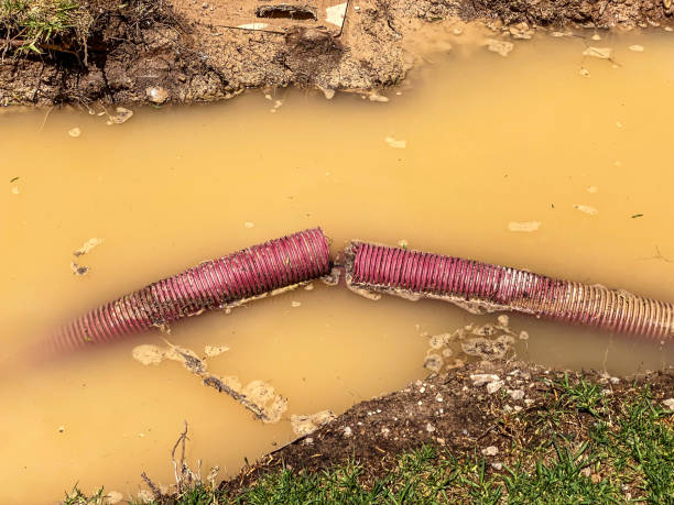 Best Emergency water damage restoration  in Litchfield Park, AZ