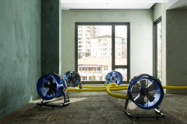 Local water damage restoration in Litchfield Park, AZ